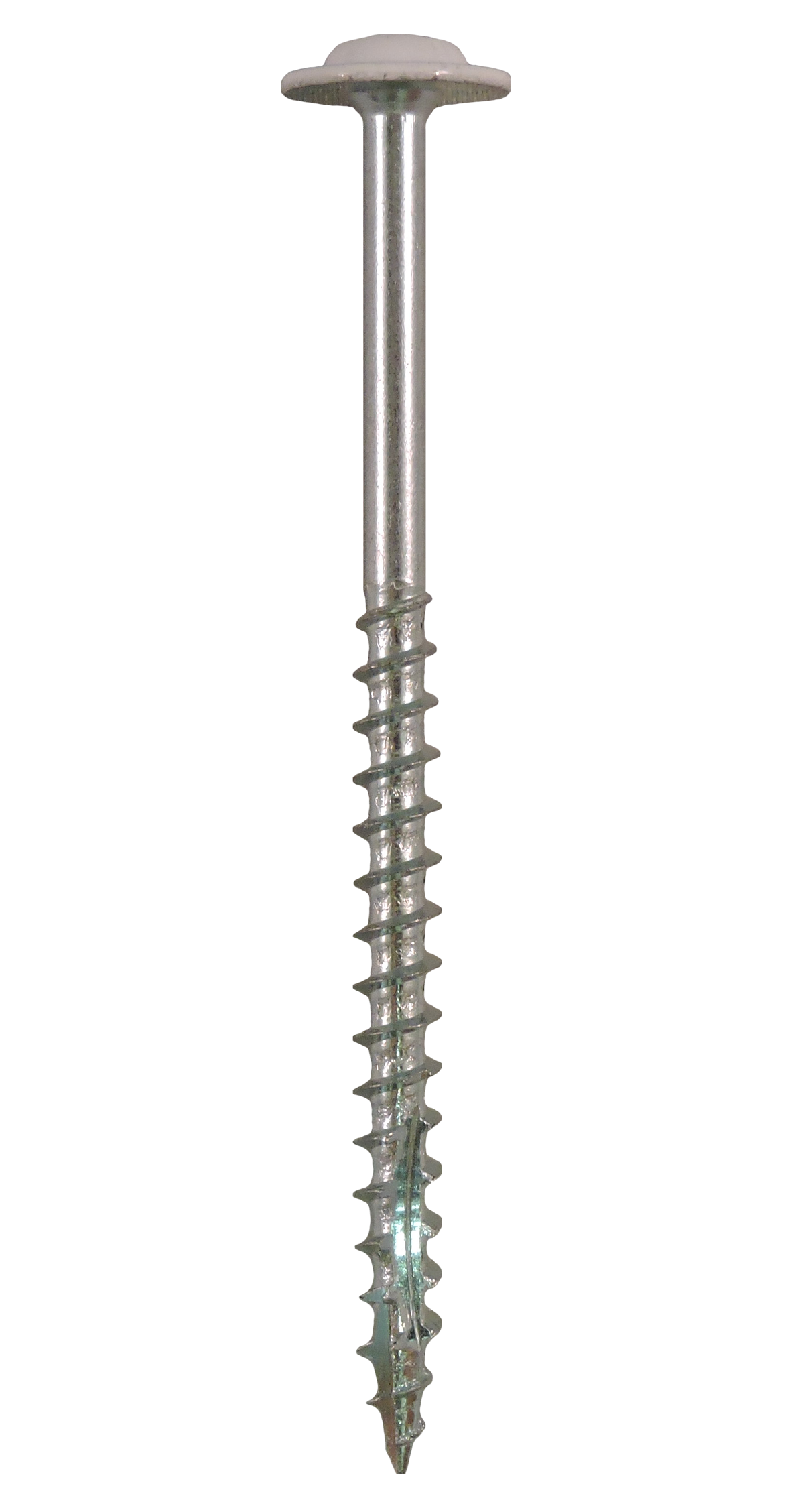 Cabinet Install Wood Screw Zinc